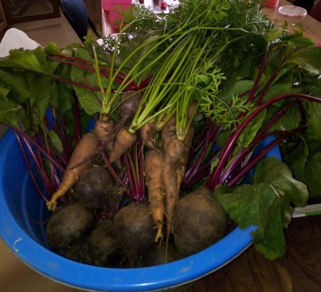 It's fabulous to grow our own healthy fresh vegetables for the learners