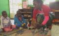 Learning about chickens