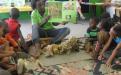 Learning about cats
